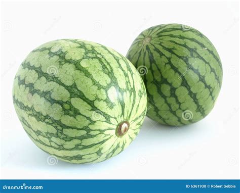 free porn melons tube|MelonsTube